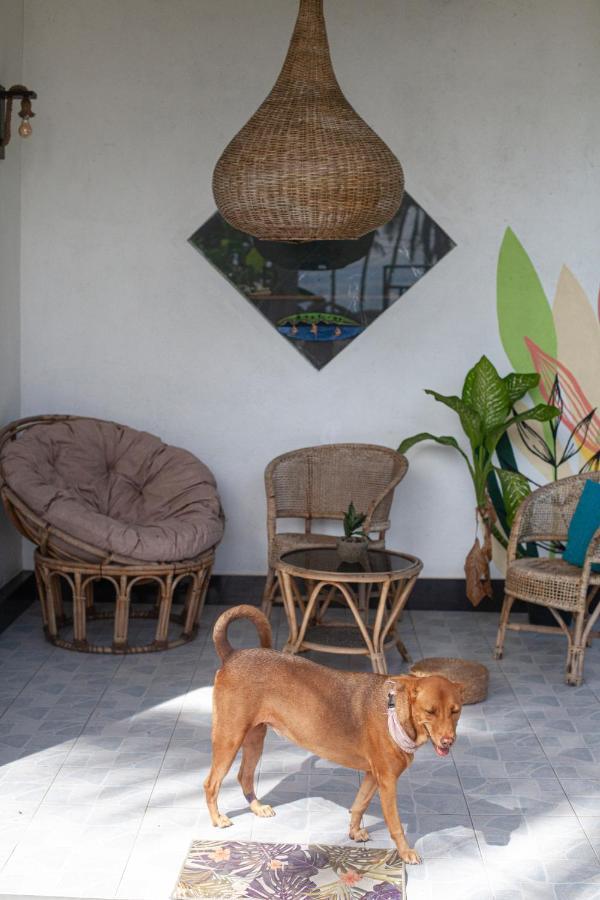 Marshmallow Homestay Ahangama Extérieur photo